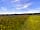 Strumble Camping: Wild medow (photo added by manager on 20/06/2022)
