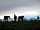 The Barn at Easington: Winter evening with horses (photo added by manager on 24/02/2018)