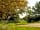 Blanca's Bell Tents at Courtyard Farm: Fields (photo added by manager on 14/06/2021)