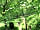 Gurt Yurts: Private steps through the wood from yurt to car park