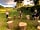 Llys-Y-Frân Meadow Campsite: Play area