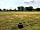 Tripark: Grass pitches