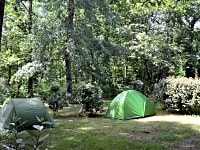 Shaded site Shaded site