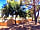 Camping Cambrils Caban: In the shade (photo added by danielacinque on 04/12/2018)
