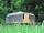 Redwood Valley - Woodland Cabin and Yurts: Yurt in the wildflower meadow