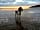 Auchenlarie Holiday Park: Beautiful sunsets guaranteed