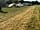 Andrew's Field (фото добавлено менеджером 12.08.2020)