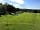 Camp Dartington: Room to spread out