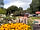 Greenacres Campsite: View of the site from reception and the toilet block (photo added by manager on 08/31/2023)