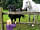 High Paradise Farm