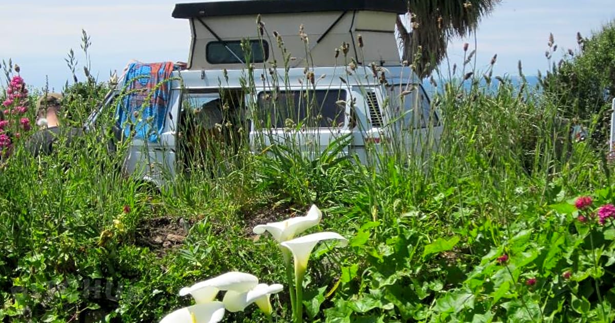 Henry's Campsite, Helston Pitchup®