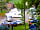 Old Station Caravan Park: Pitches