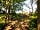 Woodside Field Motorhome Park: Private woodland area