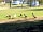Newhaven Holiday Park