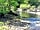 Farm and Fell Campsite: Beautiful (photo added by  on 01/06/2021)
