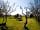Balinoe Campsite Tiree: Campsite garden area mid summer
