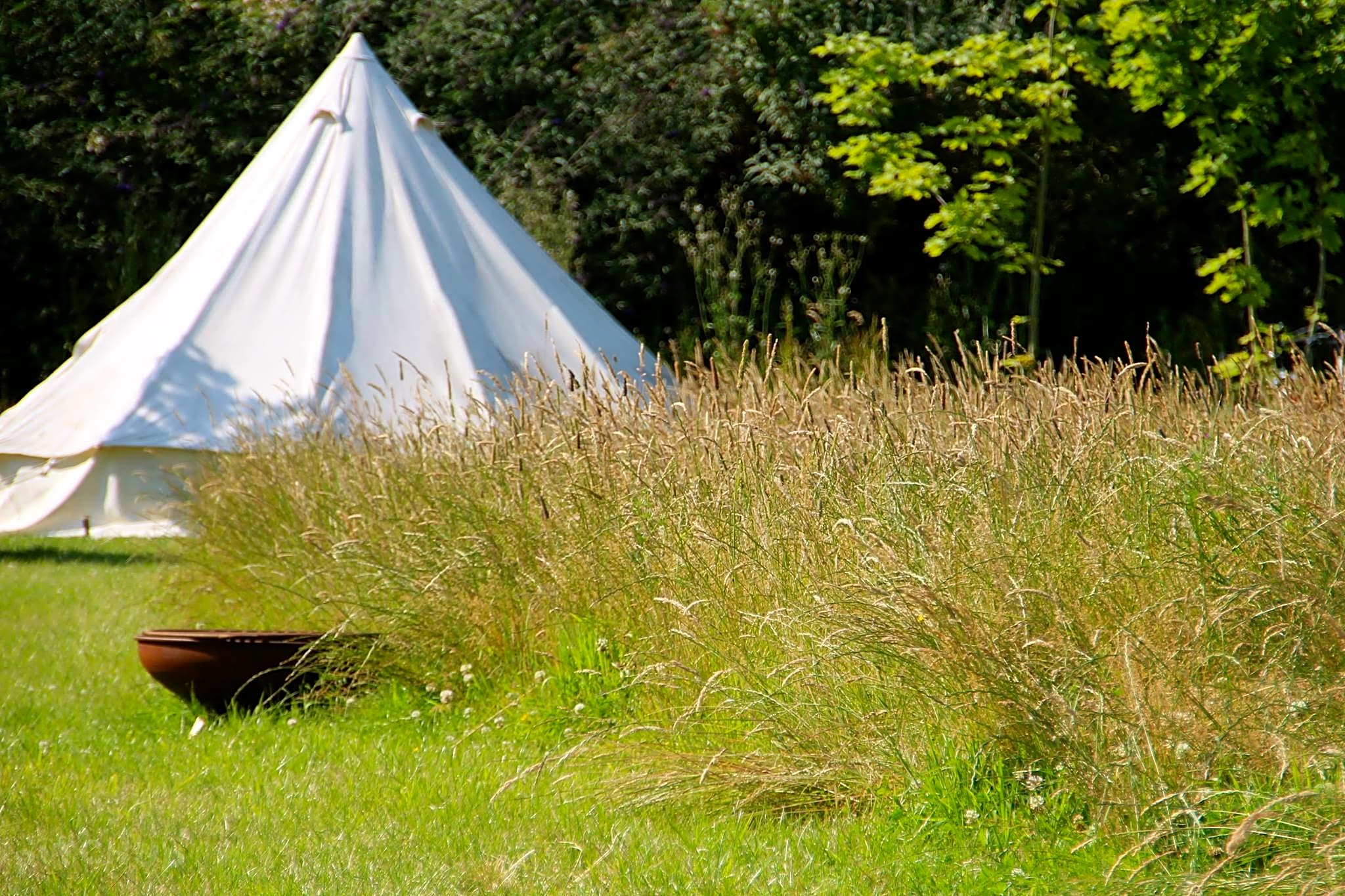 The Secret Garden Touring Park, Wisbech - Pitchup®