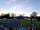 Walnut Cottage Caravan Park: Site (photo added by manager on 17/05/2021)