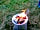 The Devonshire Arms: First outing for my Firewok!!