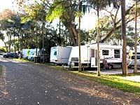 Private pitches among the trees Private pitches among the trees