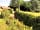 Bickham Barn