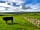 Shay Gate Farm: Local residents