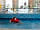Tencreek Holiday Park: Indoor swimming pool for all the family