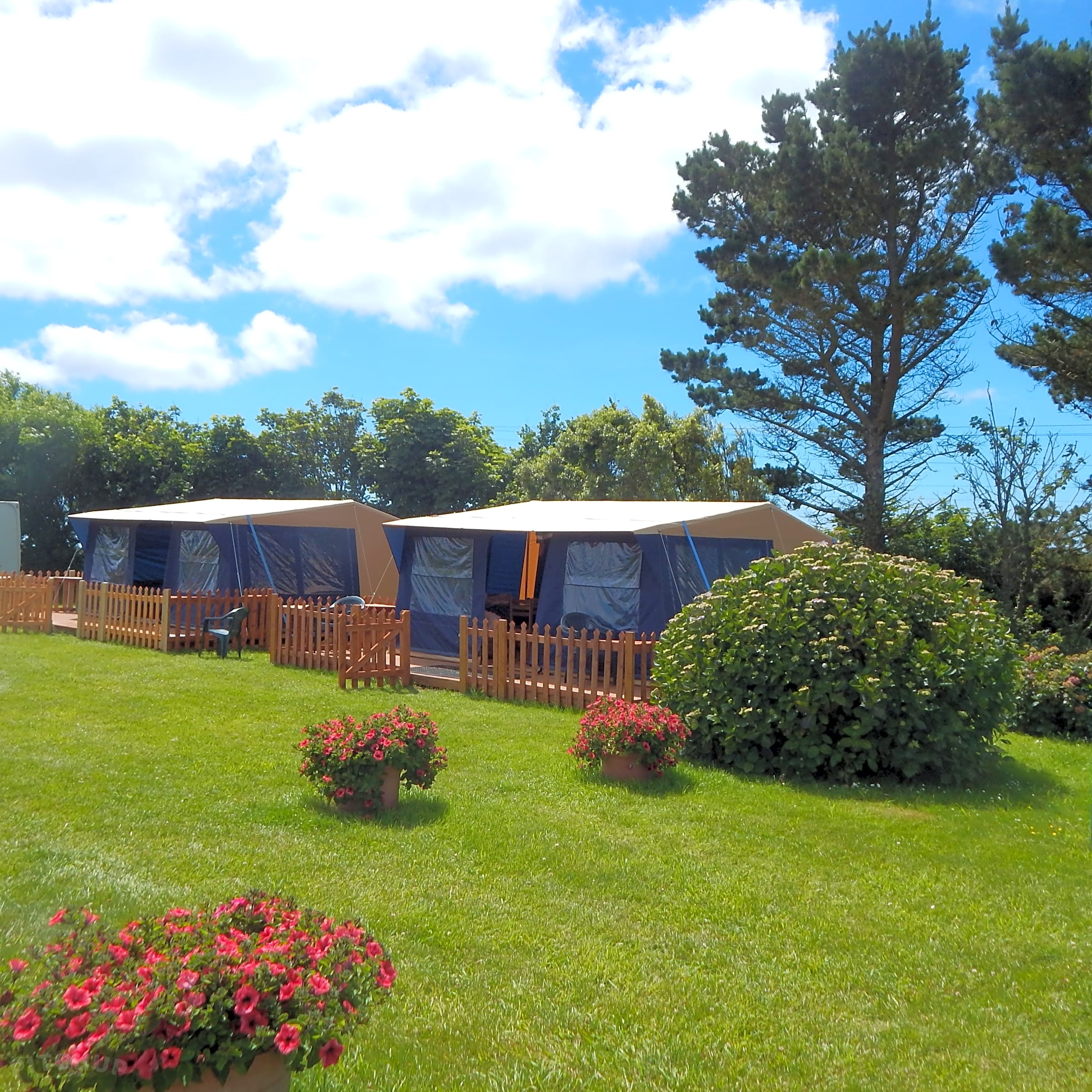 Treverven Touring Caravan and Camping Park, Penzance Pitchup®