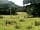 Tan Aeldroch Farm