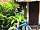 Picocanoa Rodavento: Exterior
