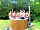 Wildswim2sauna: Hot tub on site