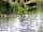Yarwell Mill Country Park (фото добавлено vivienne_t247897 08.07.2016)