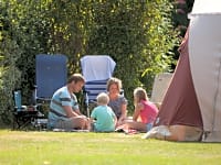 Plass for telt (Grove) på gressplen , med strøm (kjæledyrvennlig, stor)