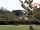 Masterland Farm Caravan Park: Overlooking park