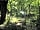 Hole Station Campsite: Woodland clearing