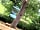 PoSHHuts: View from the woodlands