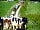Keld Knowle Farm Holidays (Foto vom Platzbetreiber)