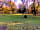 Postern Hill Campsite: Grass pitches among the trees