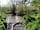 Blackland Lakes: Ducks on the brook