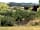 Hendre Farmhouse Orchard Campsite: Pond and hills from pitch