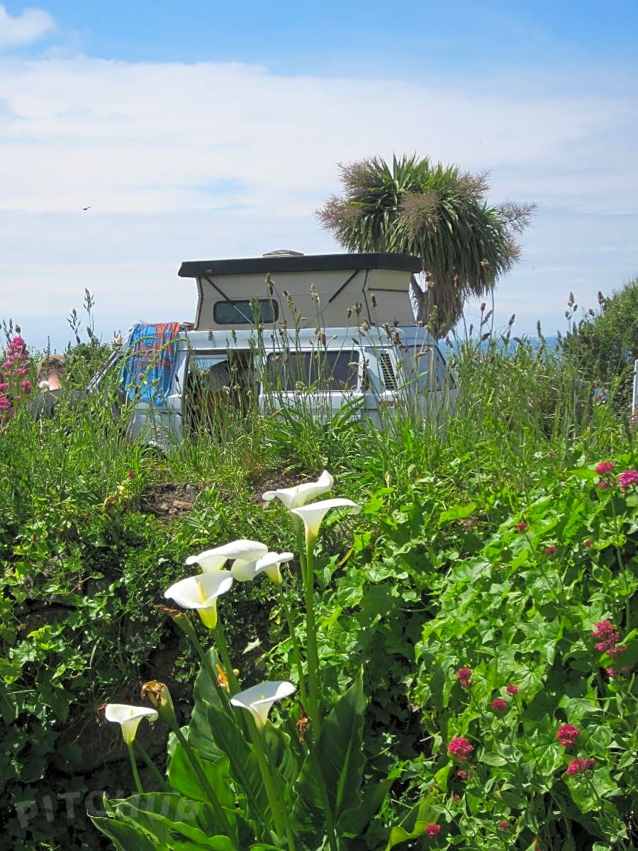 Henry's Campsite, Helston Pitchup®