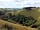 Shaftesbury on the Green Luxury Lodges: Local walks 