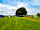 Longfield Farm: Visitor image of the great pitch