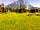 Rosebud Meadow: Pods