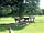 Glamping West Midlands: Seeking shade on a hot day (photo added by manager on 24/07/2016)