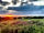 Pike Low Farm Camping