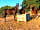 Mini Camping Het Kasteel Diever: Your neighbours