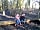 Camping in Frankland: Woods only a short walk away
