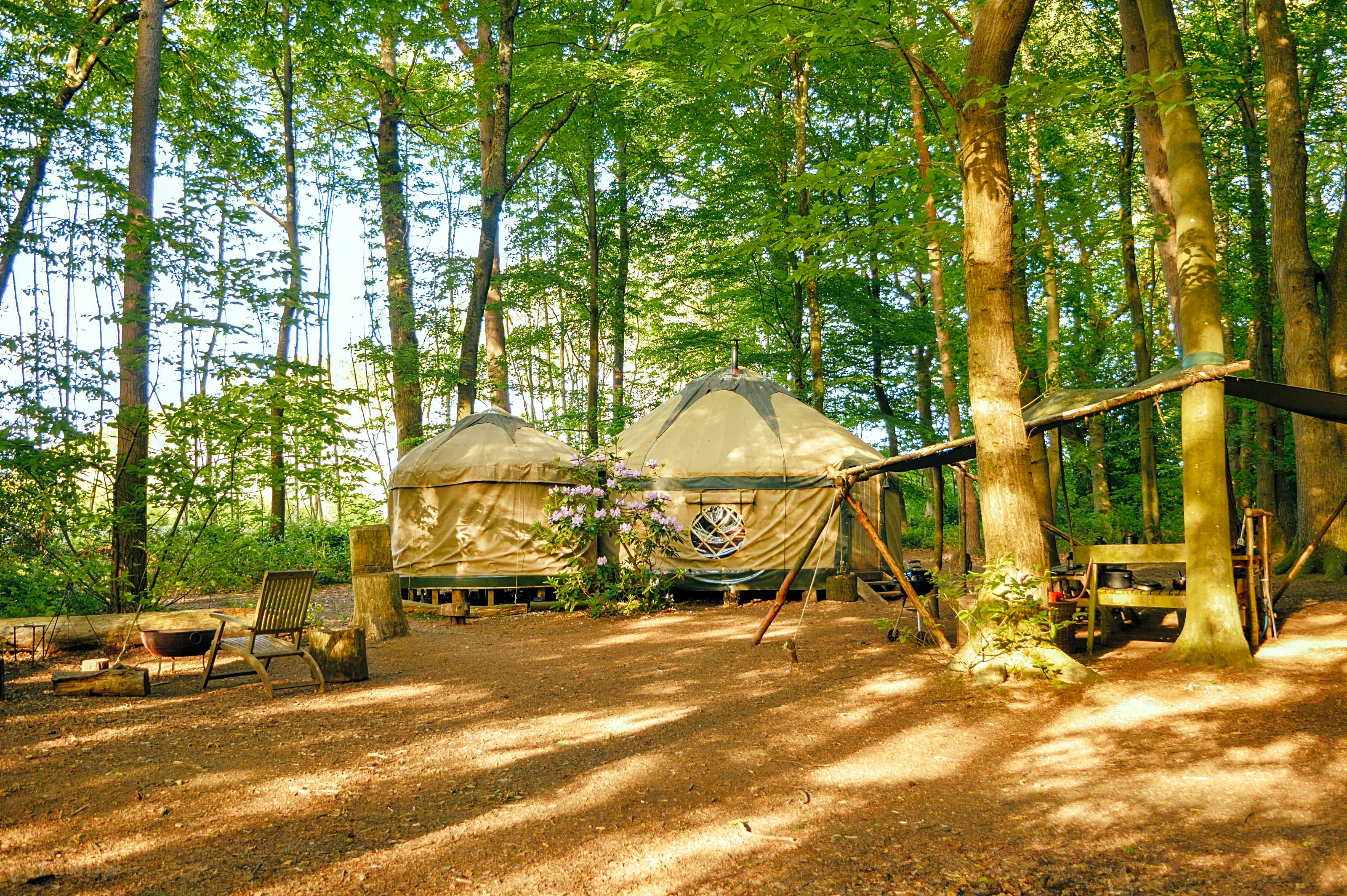 Adhurst Yurts Petersfield Hampshire Pitchup
