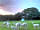 Rosebud Ranch: Paddock with mums and babies in